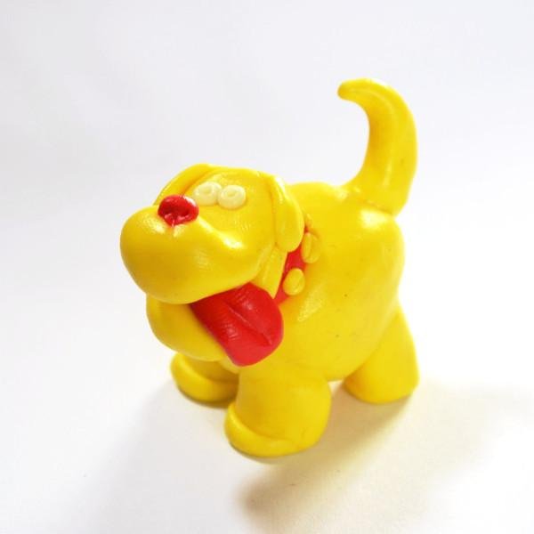 Our example dog