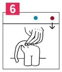 Step 6: Trunk