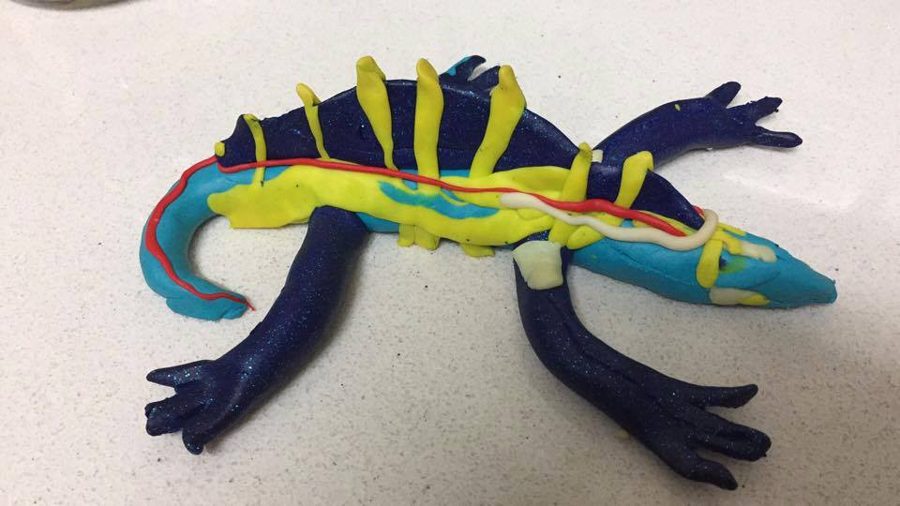 A child's clay tuatara